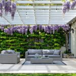 stunning backyard pergola designs